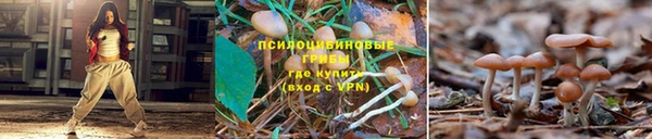 ALPHA-PVP Богородск