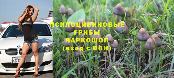 а пвп мука Богородицк