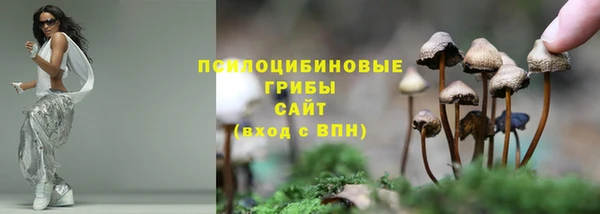 ALPHA-PVP Богородск