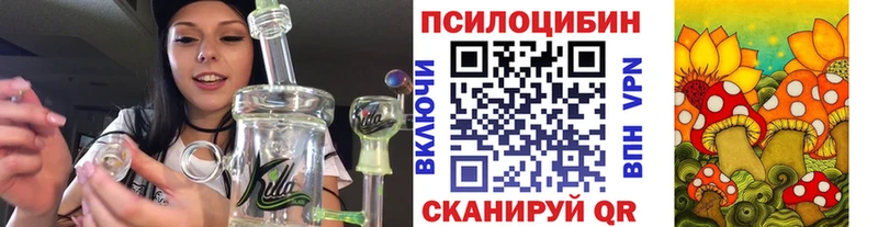 Купить закладки  Краснозаводск  Галлюциногенные грибы Magic Shrooms 